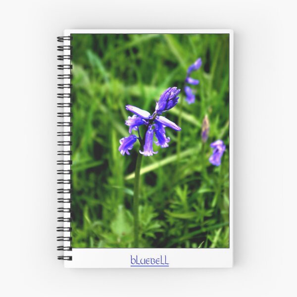 Item preview, Bluebell #2 designed and sold by Trevor Kersley.