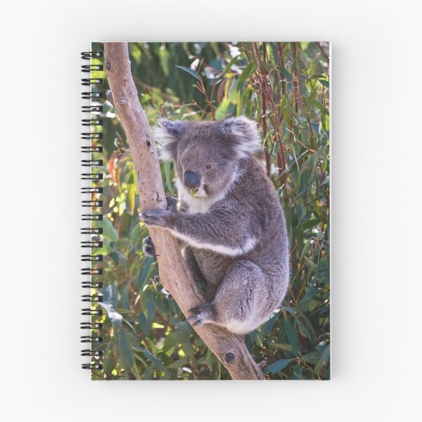 Item preview, Koala designed and sold by Claire  Farley.