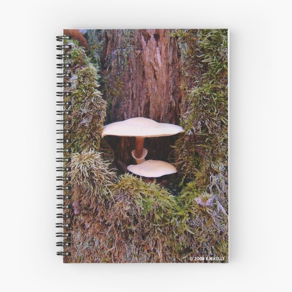 Item preview, TWO STORY MUSHROOM designed and sold by KevinKelly.