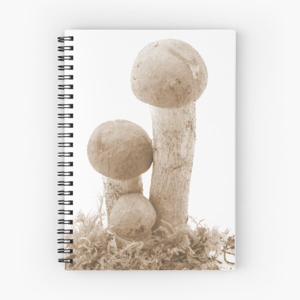 Item preview, Mushroom Time designed and sold by Marko Palm.
