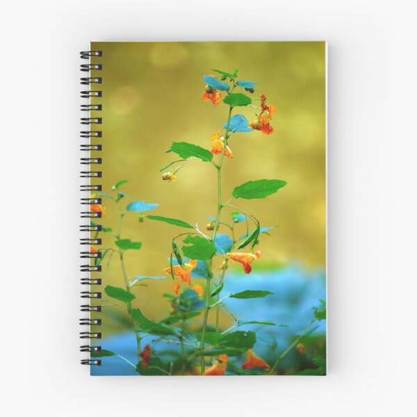Artikelvorschau, Pond Flower (or Jewelweed) entworfen und verkauft von Jeannette Sheehy.