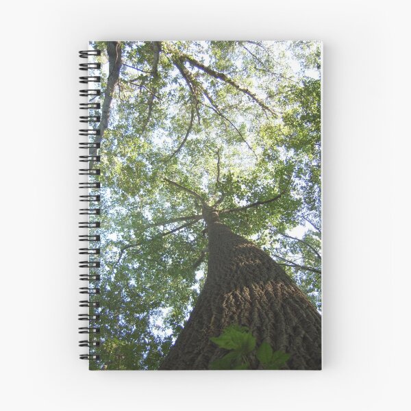 Aperçu de l'œuvre Grand arbre grand créée et vendue par kat  -.
