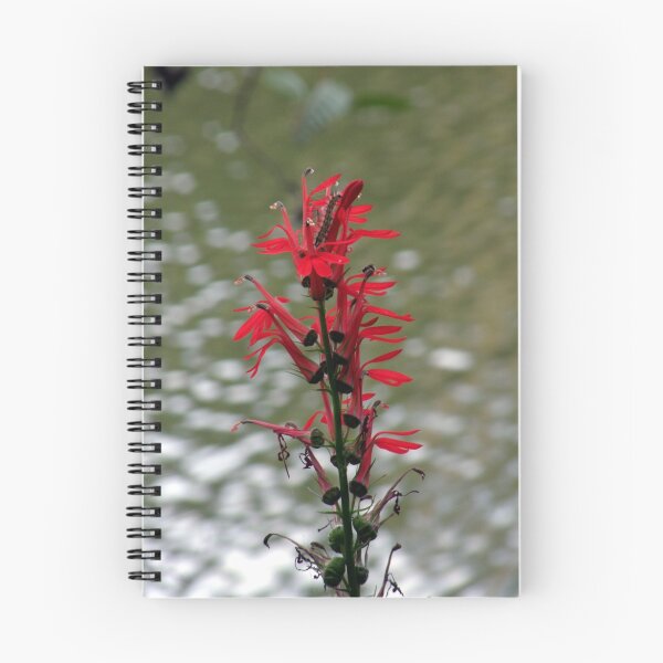 Item preview, Cardinal Flower and Guest designed and sold by Len Bomba.