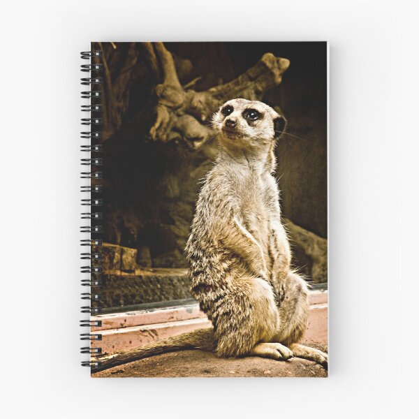 Item preview, Meerkat Sitting designed and sold by carlhirst.