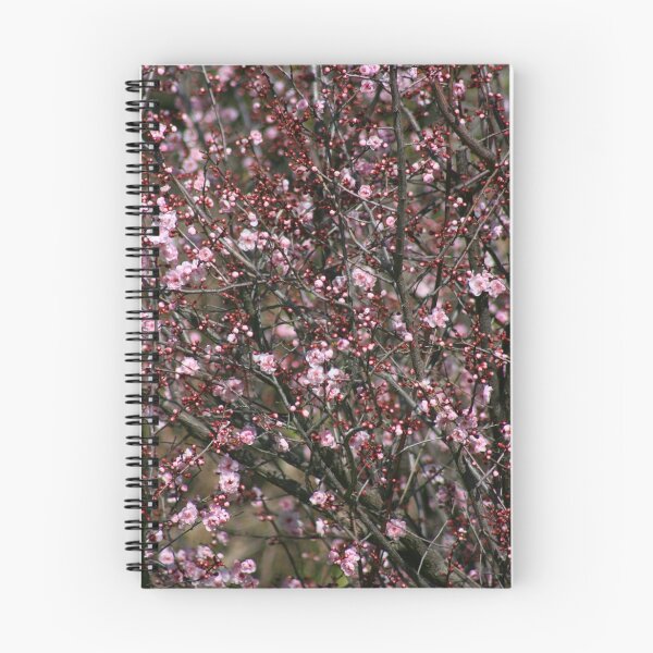 Item preview, Blossom Bonanza designed and sold by OzShell.