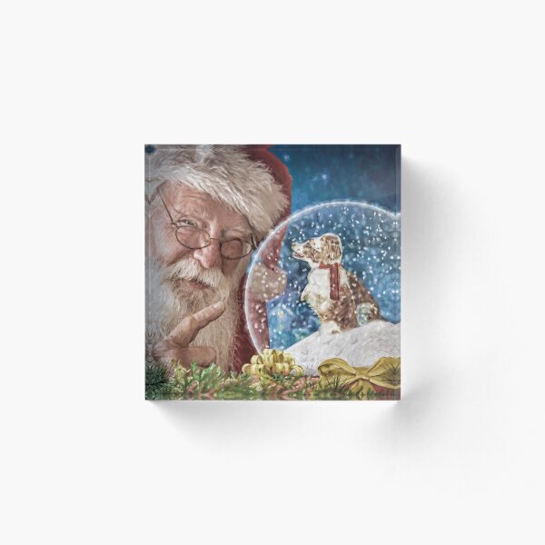 Naughty or Nice? Christmas Acrylic Block
