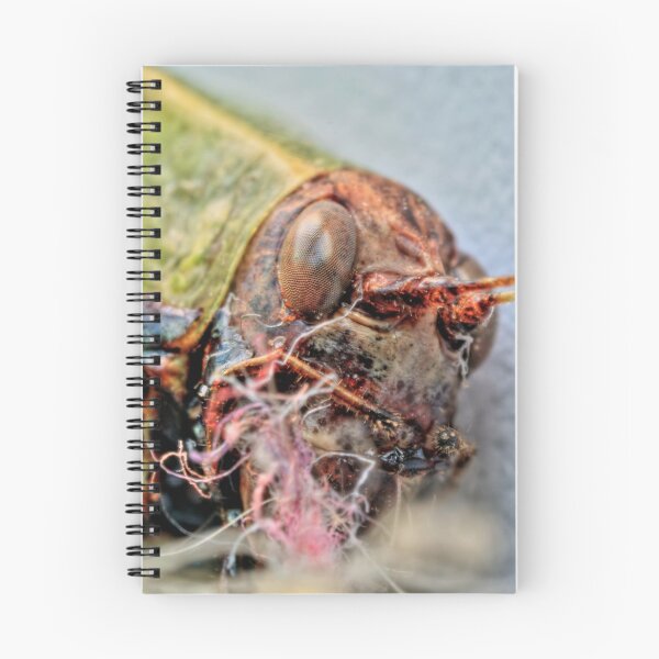 Item preview, bug wars 14 designed and sold by tuetano.