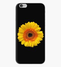 Asteraceae iPhone-Hülle & Cover
