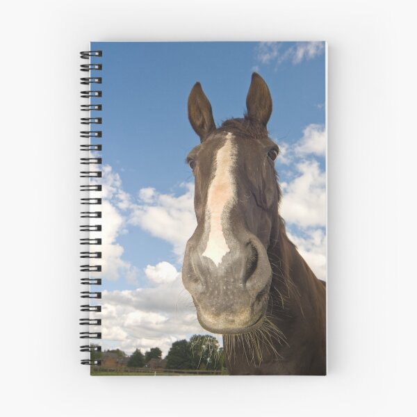 Item preview, Why the long face? designed and sold by Simon Coates.
