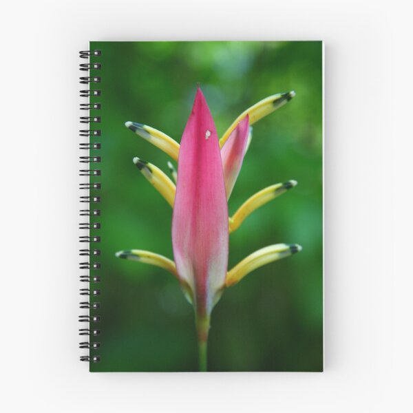 Item preview, Pink Bird of Paradise designed and sold by Erland Howden.