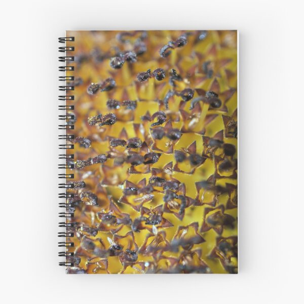 Item preview, Curves in Color designed and sold by Jayson Brazell.