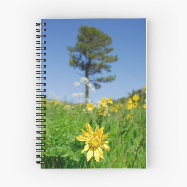 Item preview, Daisy designed and sold by Christopher Barker.