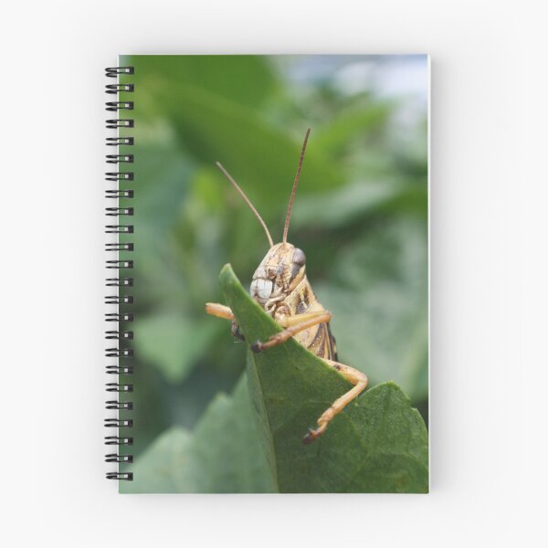 Item preview, DON'T TOUCH MY LEAF. designed and sold by Dana Yoachum.