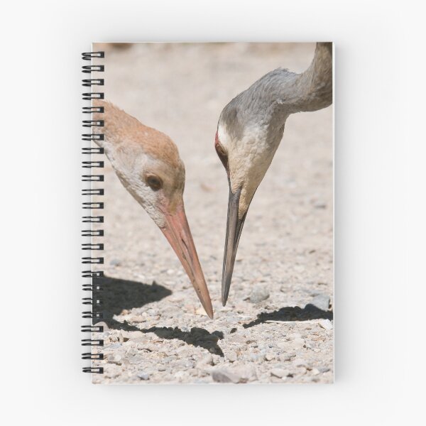 Artikelvorschau, sandhill cranes entworfen und verkauft von jude walton.