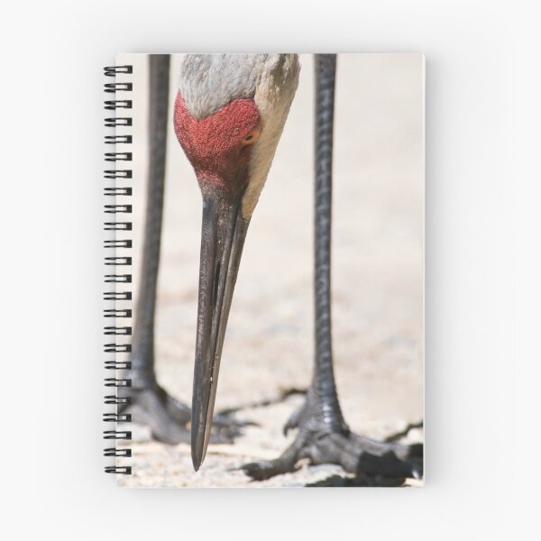 Item preview, sandhill crane designed and sold by jude walton.