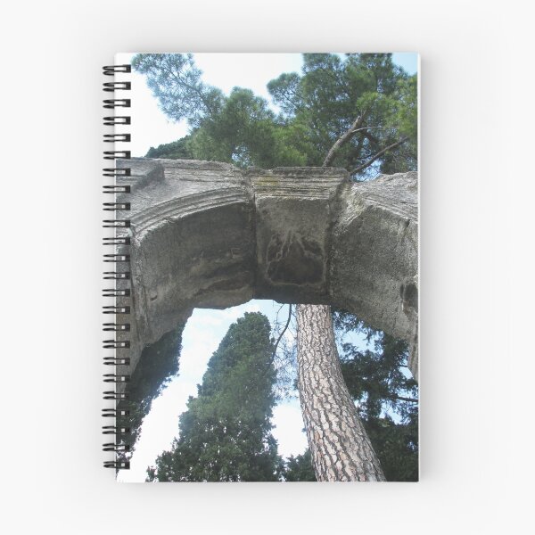 Item preview, Roman remains must be older than that powerful pine tree... designed and sold by Larasolnishko.