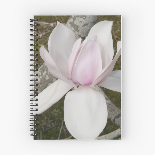 Item preview, "Magnolia of Mt Lofty" designed and sold by Gail Mew.