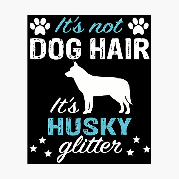 Funny Husky Dog It's Not Dog Hair It's Husky Glitter Photographic Print