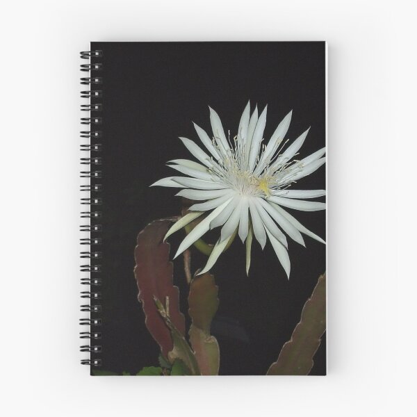 Item preview, WHITE NIGHT LIGHT designed and sold by artist4peace.