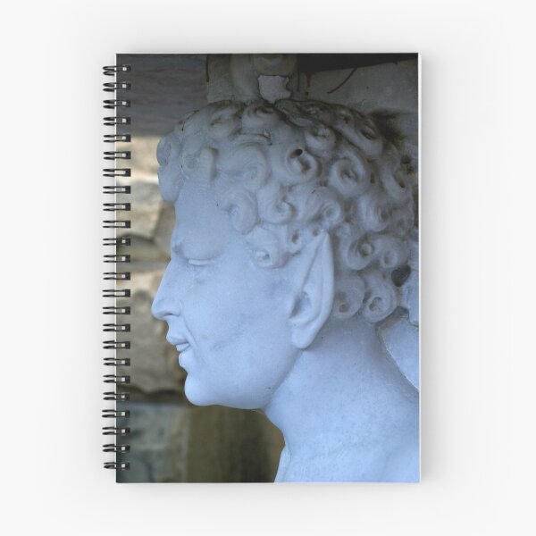 Aperçu de l'œuvre Profil de Faun créée et vendue par rdshaw.