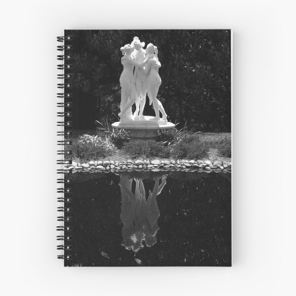 Item preview, The Three Graces (black and white) designed and sold by rdshaw.