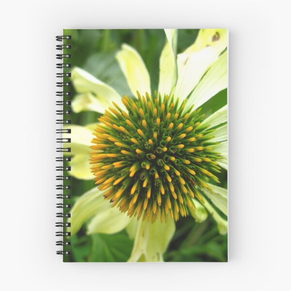 Item preview, explosion designed and sold by Tonee Christo.
