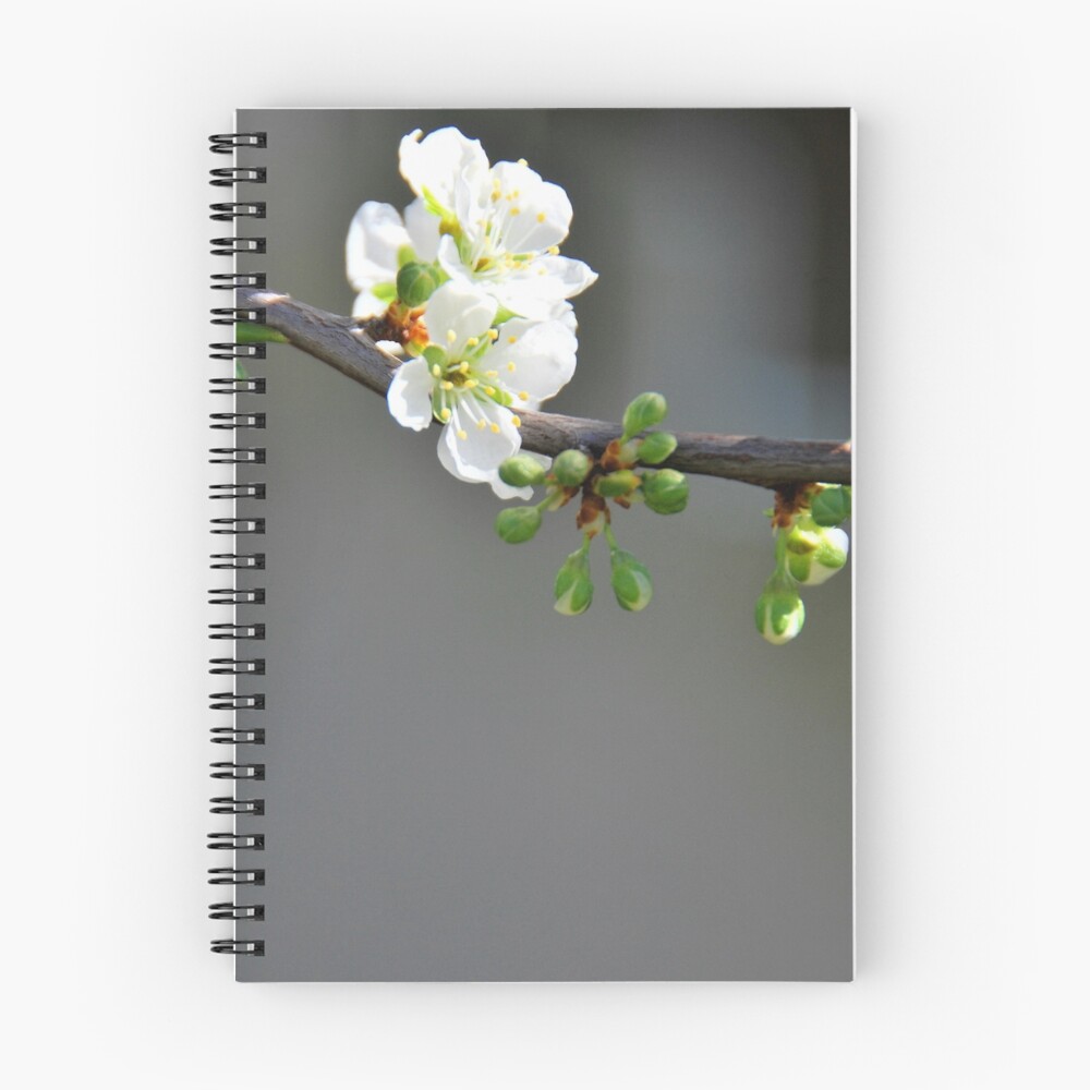 Vista previa del artículo con la obra «Cuaderno de espiral», diseñado y vendido por Rogdsmith.