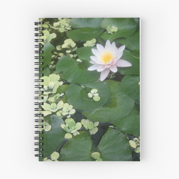 Item preview, Lillypad designed and sold by Edward Gunn.