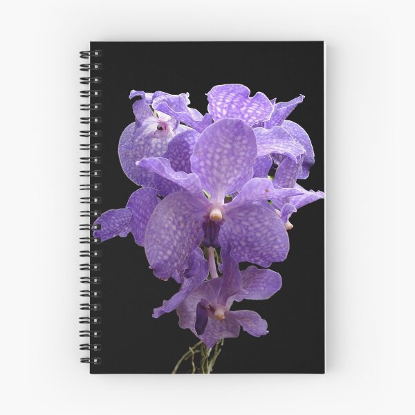 Item preview, Orchid dream designed and sold by Gili Orr.