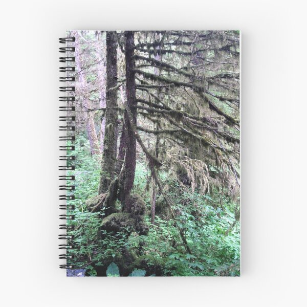 Item preview, Another view of the Rainforest - Tall trees designed and sold by Liz Wear.