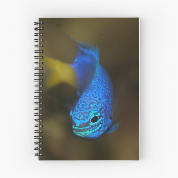 Item preview, Blue Damsel designed and sold by DreamPhotograph.