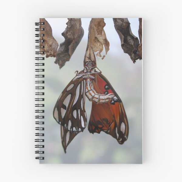 Item preview, Emergence designed and sold by Brittany Scales.