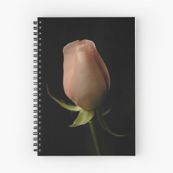 Item preview, Perfect designed and sold by Francine Dufour Jones.