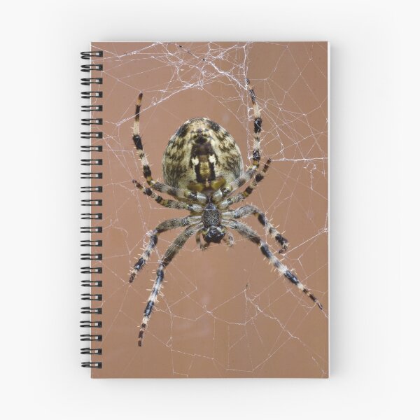 Item preview, Incy wincy spider designed and sold by Kerry Lunt.