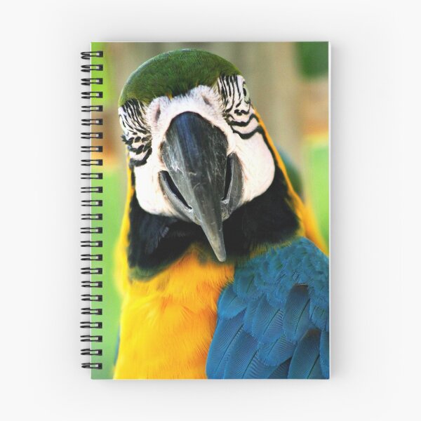 Item preview, Ziggy designed and sold by soulphoto.