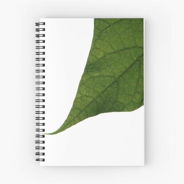 Item preview, Photosynthesis designed and sold by TriciaDanby.