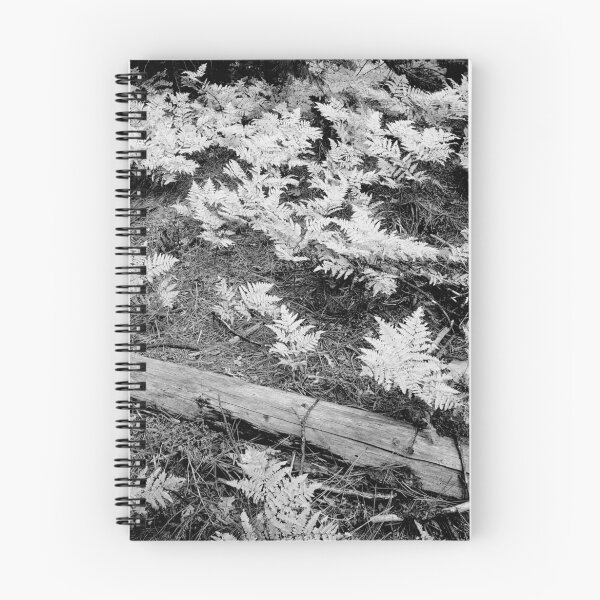 Item preview, FERNS designed and sold by Chuck Wickham.
