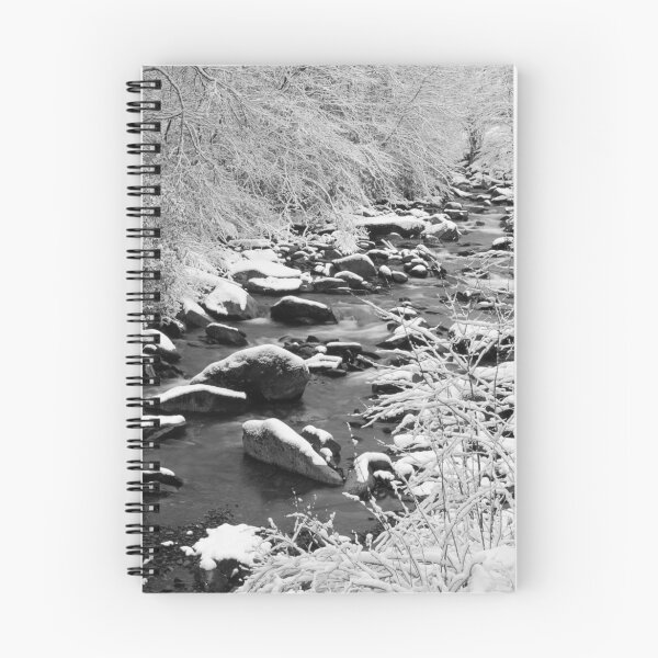 Aperçu de l'œuvre STREAM,WINTER créée et vendue par Chuck Wickham.