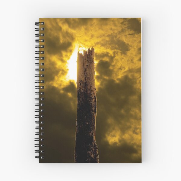 Item preview, Tree Stump designed and sold by Richard Allen.