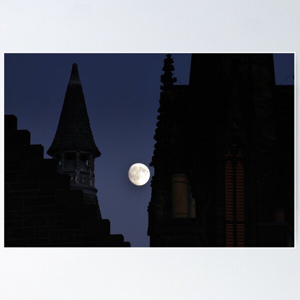 Item preview, Shining Through designed and sold by Andrew Ness - www.nessphotography.com.