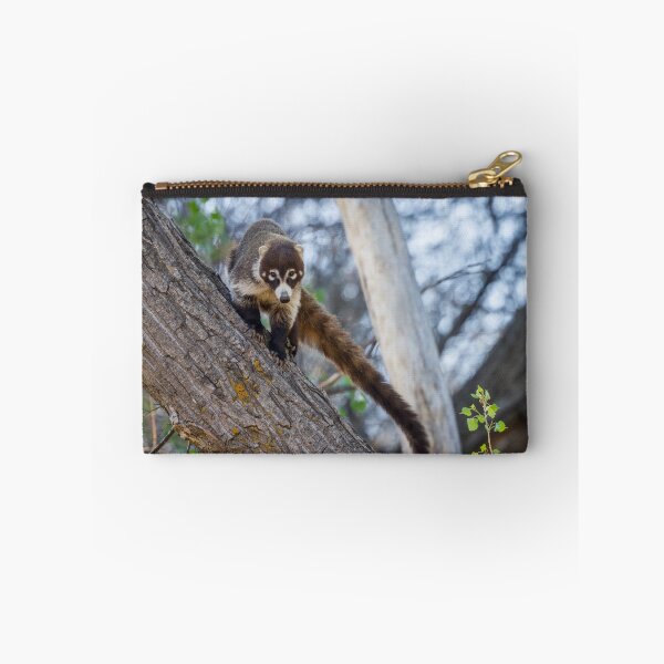 Item preview, Infrequent Encounter -- Coatimundi (male) designed and sold by Tom Talbott.