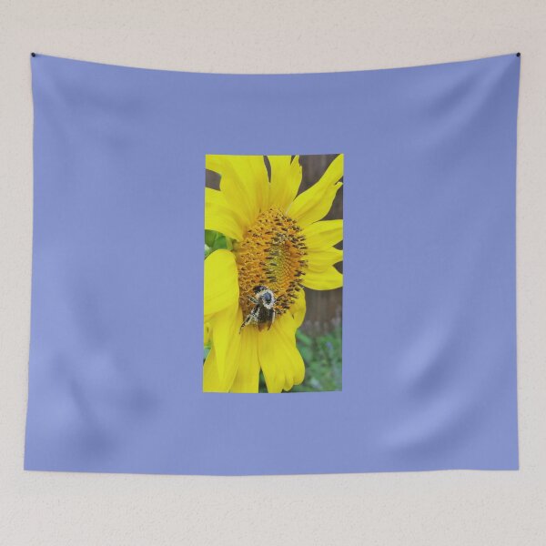 Item preview, Sunbathing designed and sold by NorthOfSunrise.