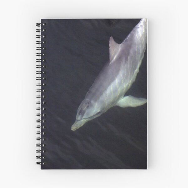 Item preview, Dolphin designed and sold by Aussiebluey.