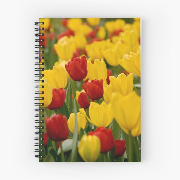 Artikelvorschau, Tulip entworfen und verkauft von emlbaker.