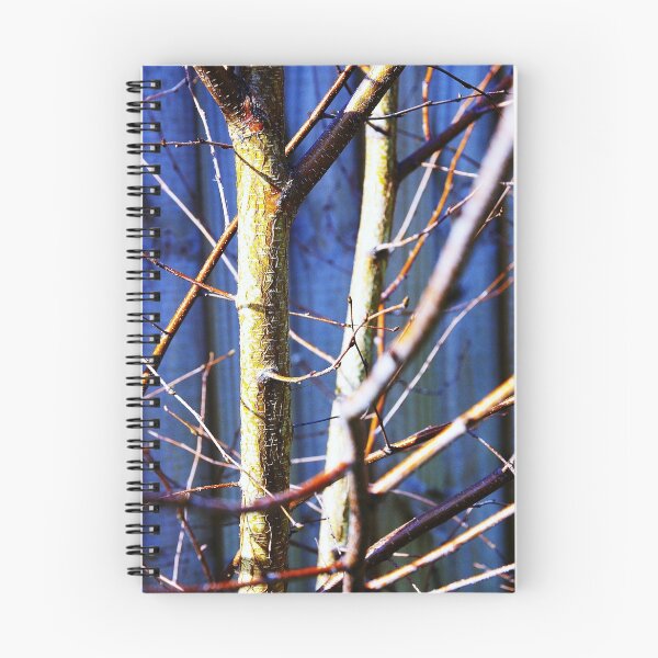 Item preview, Silver Birch in Winter designed and sold by housenbaby.