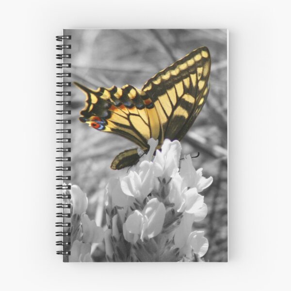 Item preview, Oh what fun!  designed and sold by Kasey Cline.