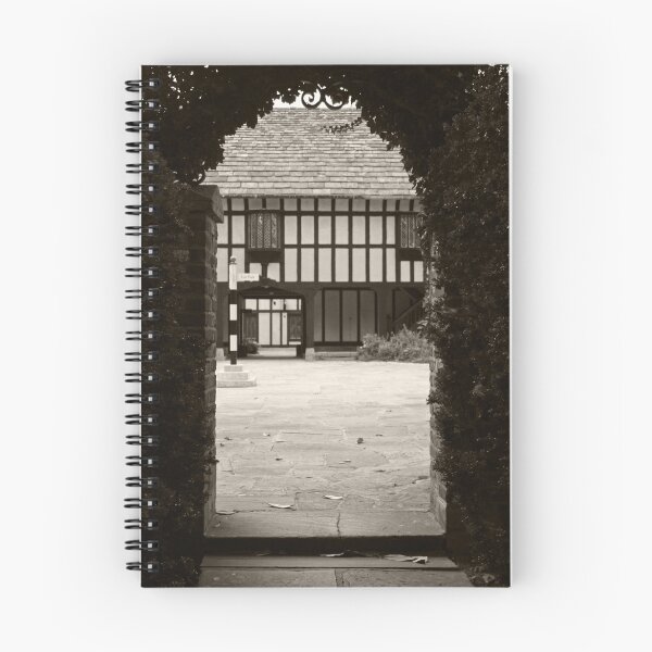 Item preview, Into the Courtyard designed and sold by Victoria DeMore.
