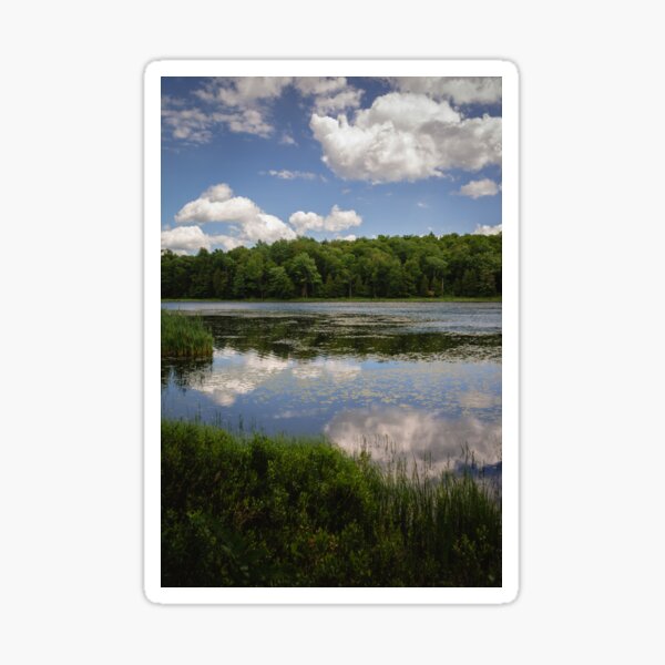 Perfect Day Reflections Sticker