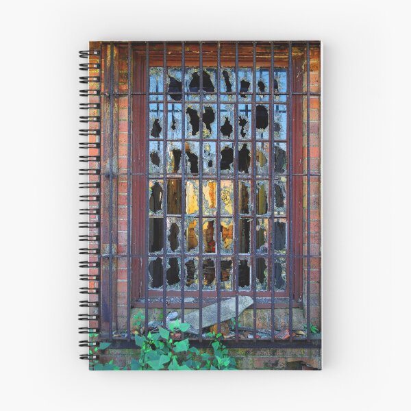 Item preview, Looking In! designed and sold by Bev Woodman.