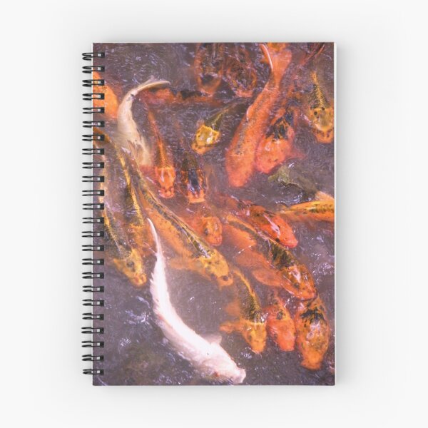 Aperçu de l'œuvre Kolourful Koi créée et vendue par Amanda Pikta-Pastirova.